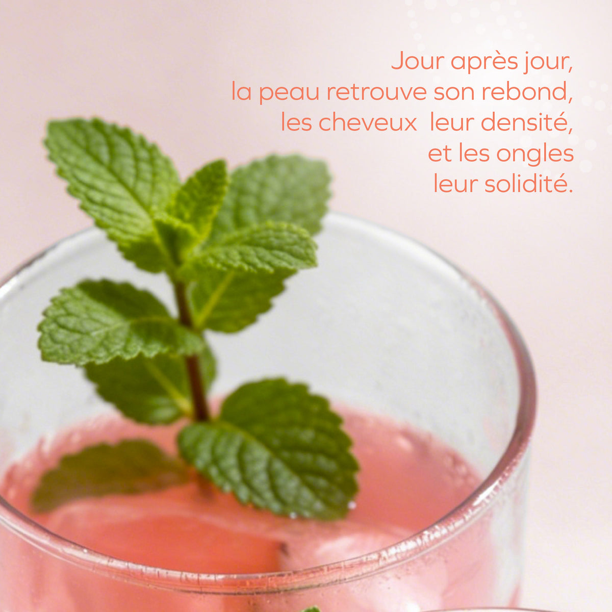 Collanove beauté.